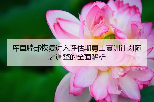 库里膝部恢复进入评估期勇士夏训计划随之调整的全面解析