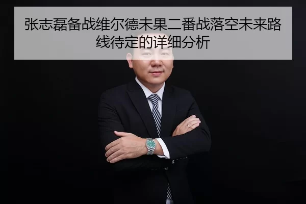 张志磊备战维尔德未果二番战落空未来路线待定的详细分析