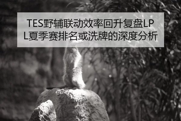 TES野辅联动效率回升复盘LPL夏季赛排名或洗牌的深度分析
